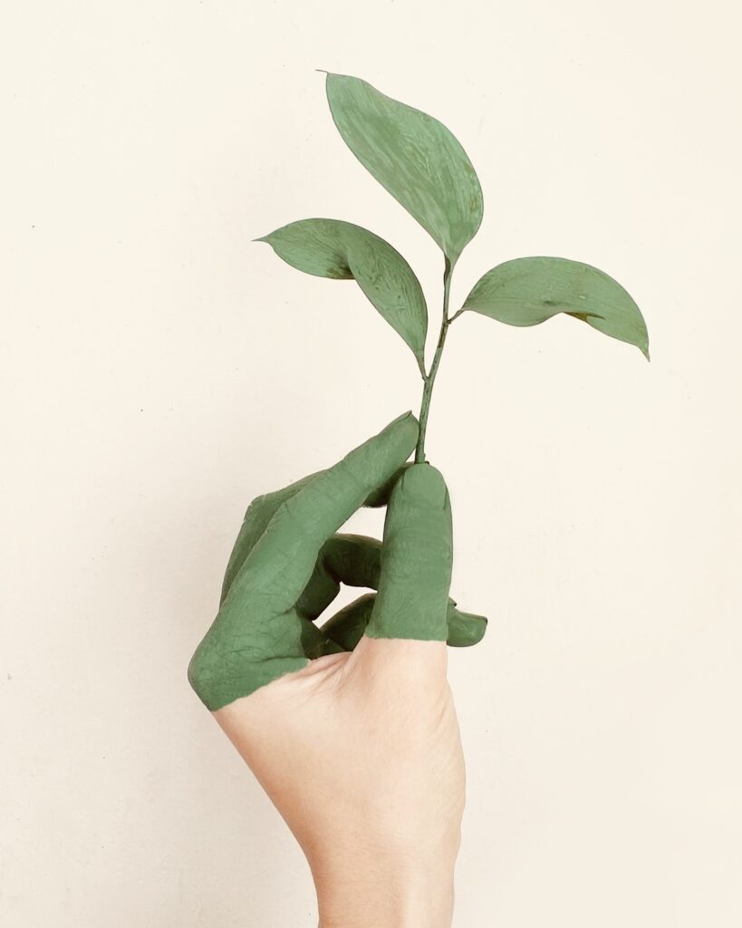 Hånd der holder spirende. plante med grøn maling på hånden